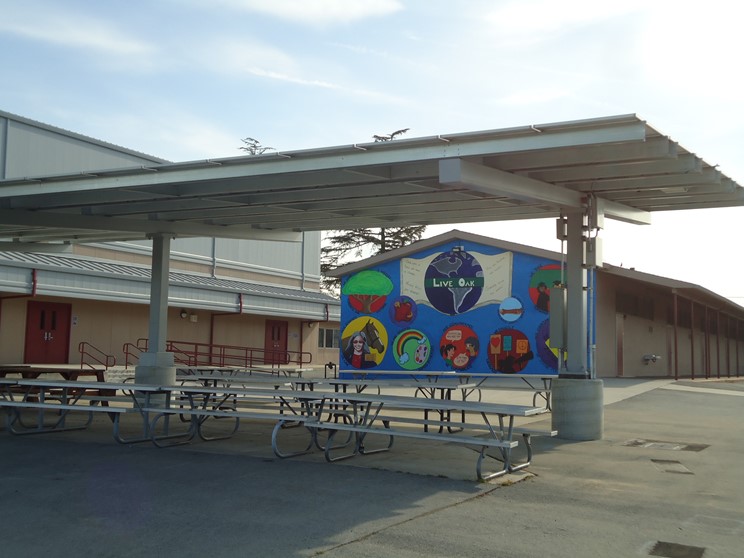 Live Oak Elementary School
